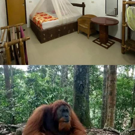 Brown Bamboo Guest House & Trekking Букіт-Лаванґ Екстер'єр фото